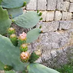 Casina Nel Salento