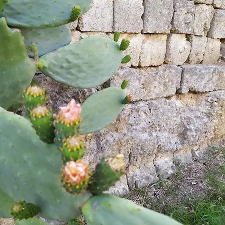 Casina Nel Salento