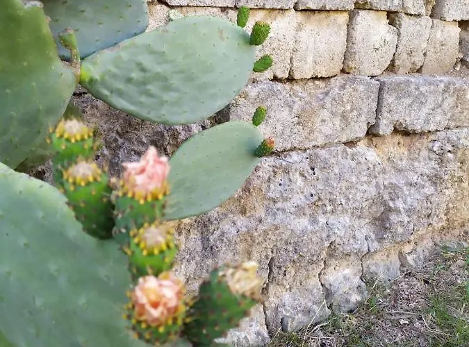 Casina Nel Salento